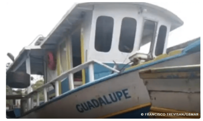 Naufrágio provocado por chuva forte deixa dois mortos Naufrágio provocado por chuva forte deixa dois mortos