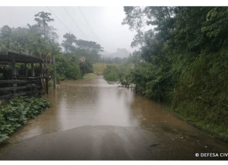 Chuvas matam 19 em SP