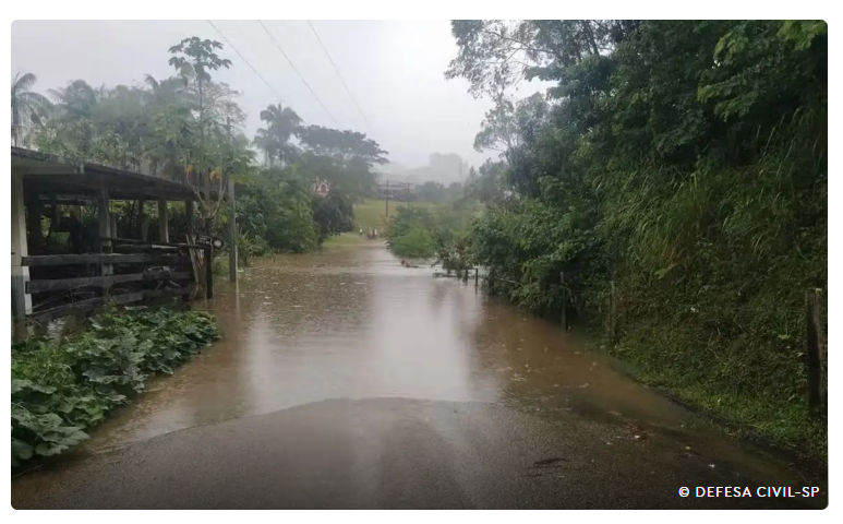 Chuvas matam 19 em SP