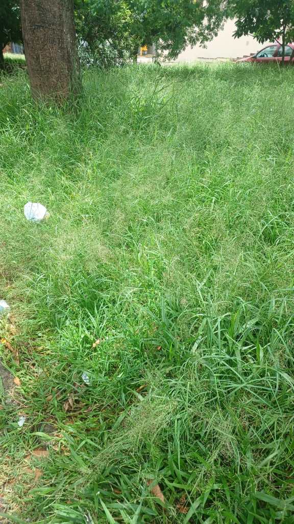 Munícipes pedem conserto na Regit Arab