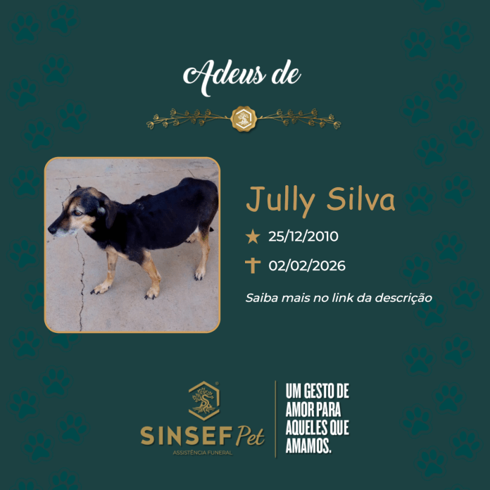 card - 2026-02-03T095602.530