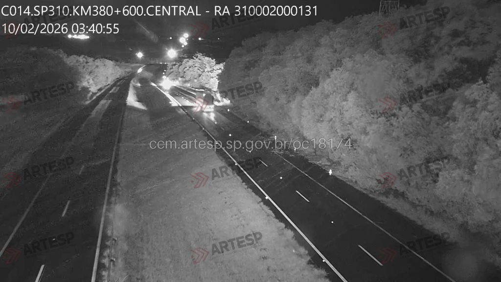 Árvore caiu em Catanduva