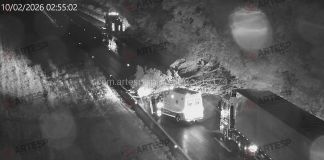 Árvore caiu em Catanduva