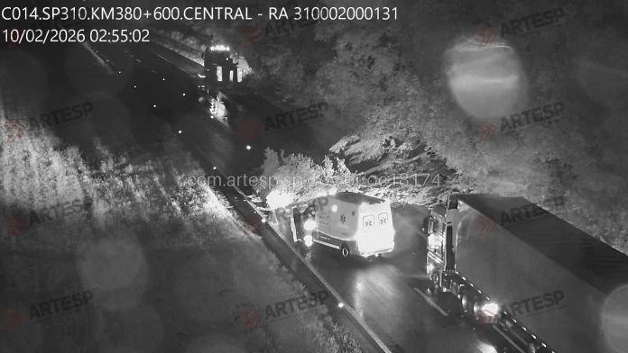 Árvore caiu em Catanduva