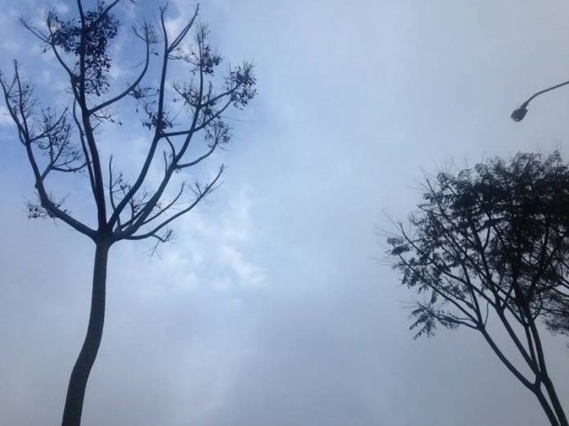 Tempo muda e frio voltará a fazer parte da vida do são-carlense