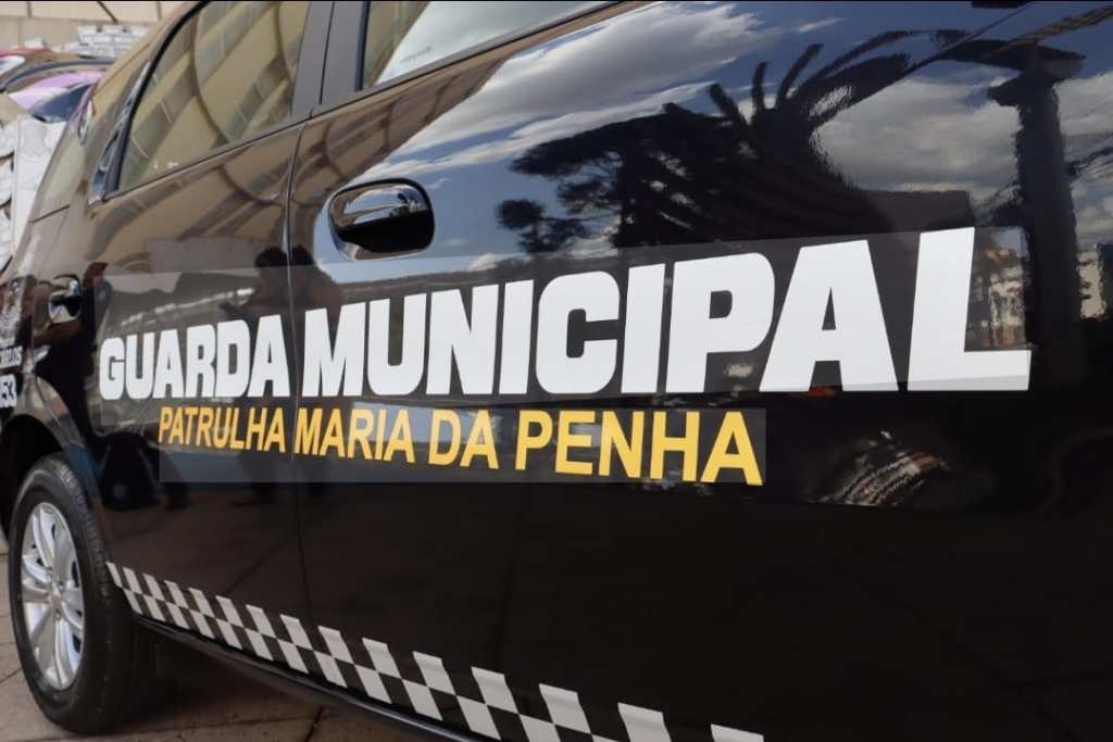 Violência em São Carlos: homem agride a própria mãe