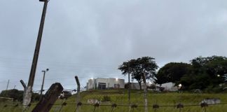 Cinzas e chuva: confira a previsão do tempo para São Carlos Cinzas e chuva: confira a previsão do tempo para São Carlos