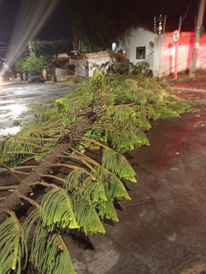 Microexplosão causa estragos em Araraquara Microexplosão causa estragos em Araraquara