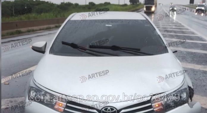 Homem morre atropelado na rodovia Washington Luís