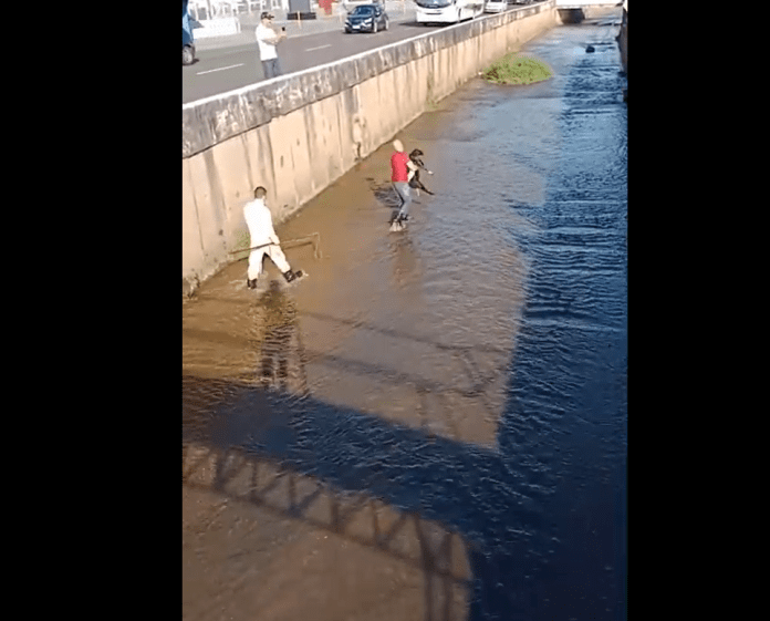 Cabritinho foi resgatado Cabritinho foi resgatado
