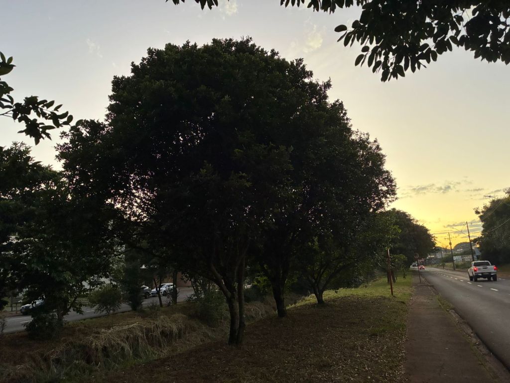 Tempo seco por mais alguns dias, mas são-carlense deve se preparar para mudanças