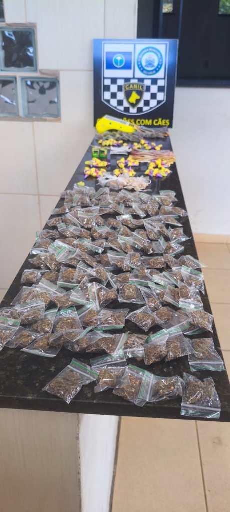 Drogas apreendidas pela GM