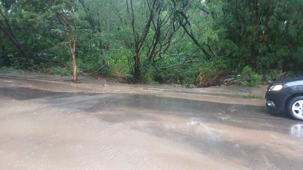 Córrego Sorregotti subiu no Cardinalli