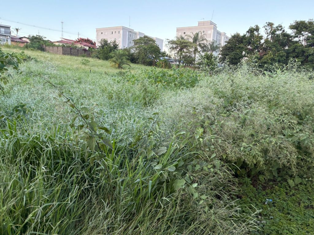 São Carlos terá virada no tempo
