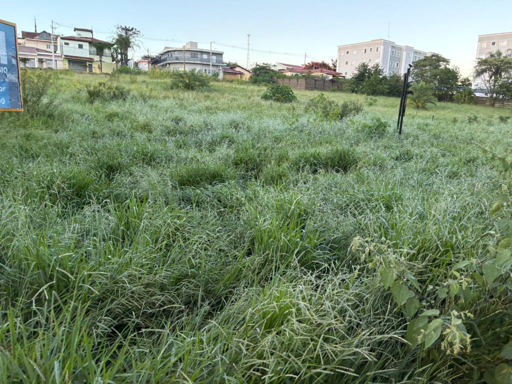 São Carlos terá virada no tempo