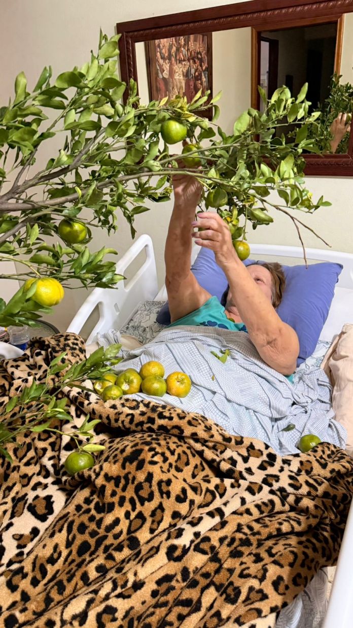 WhatsApp Image 2026-03-16 at 21.10.28 (1)