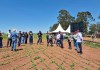 Embrapa e Baldan apresentam como transformar pastagens degradadas em sistemas produtivos durante Dia de Campo em São Carlos