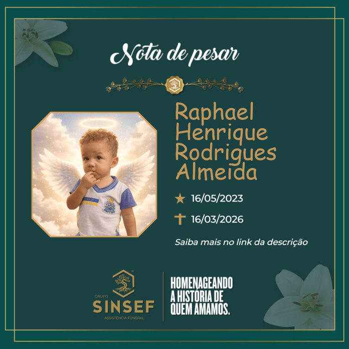 card - 2026-03-17T104045.062