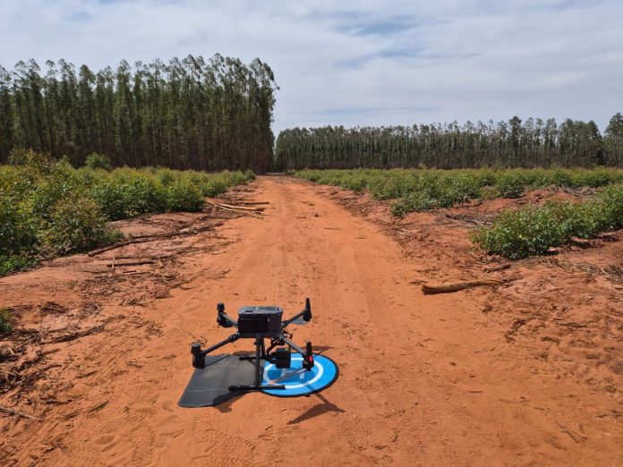 Embrapii ICMC e Neural Tec criam solução de gestão florestal e créditos de carbono Embrapii ICMC e Neural Tec criam solução de gestão florestal e créditos de carbono