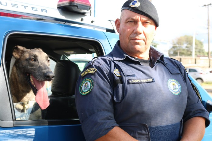 9fbcabbd-c7a4-417e-8a6e-2d7432f62ccf A Prefeitura de São Carlos dará início ao Curso de Formação Técnica da Guarda Municipal, etapa decisiva do concurso público que seleciona os futuros agentes da segurança cidadã.