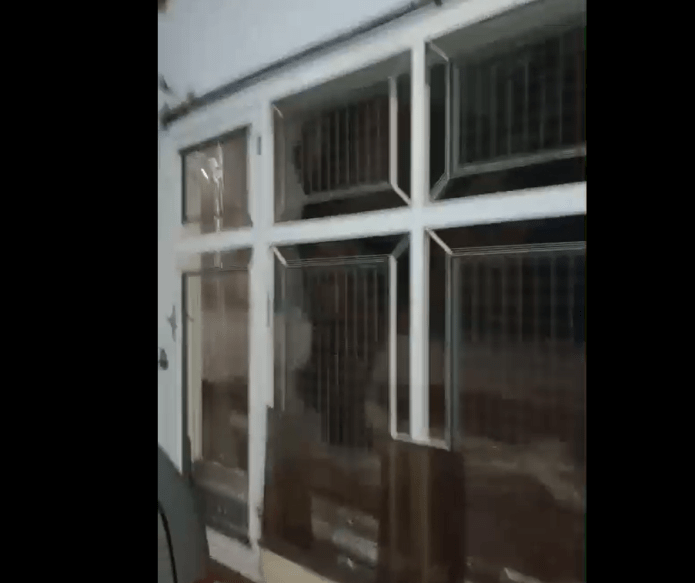 Captura de tela 2026-04-01 223256