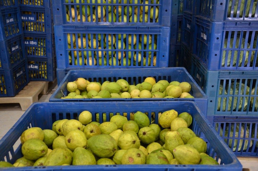 A Prefeitura de São Carlos realizou no último dia 2 de abril, a Chamada Pública para a aquisição de gêneros alimentícios por meio do Programa Nacional de Alimentação Escolar (PNAE), reforçando o compromisso com a oferta de alimentação escolar de qualidade e com o fortalecimento da agricultura familiar.