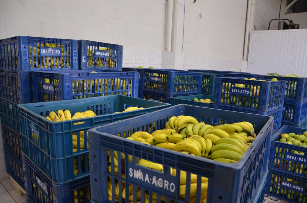 A Prefeitura de São Carlos realizou no último dia 2 de abril, a Chamada Pública para a aquisição de gêneros alimentícios por meio do Programa Nacional de Alimentação Escolar (PNAE), reforçando o compromisso com a oferta de alimentação escolar de qualidade e com o fortalecimento da agricultura familiar.