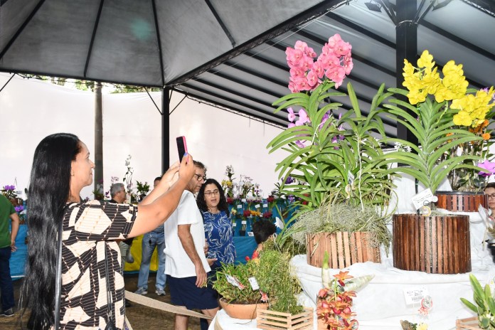 O Círculo Sãocarlense de Orquidófilos, com apoio da Prefeitura de São Carlos, realiza, nos dias 24, 25 e 26 de abril, a tradicional 61ª Exposição Nacional de Orquídeas, na Praça da XV.