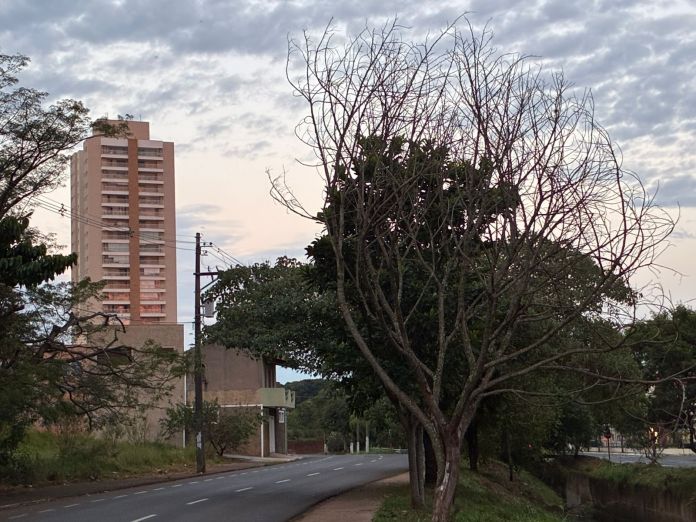 Tempo: outono em São Carlos Tempo: outono em São Carlos