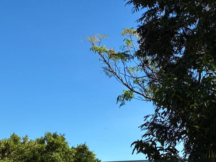 Bloqueio atmosférico pode elevar as temperaturas em São Carlos e região em até 5 °C Bloqueio atmosférico pode elevar as temperaturas em São Carlos e região em até 5 °C