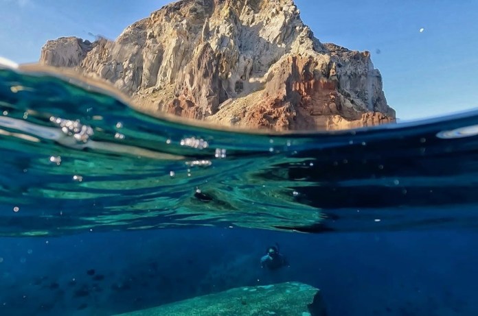 Segundo Kátia Capel, as amostras de DNA ambiental que foram coletadas vão ser analisadas na UFSCar, no Laboratório de Conservação e Biodiversidade Marinha (LaConBi-Mar), coordenado por ela. As amostras de corais e peixes serão processadas no CEBIMar. Segundo Kátia Capel, as amostras de DNA ambiental que foram coletadas vão ser analisadas na UFSCar, no Laboratório de Conservação e Biodiversidade Marinha (LaConBi-Mar), coordenado por ela. As amostras de corais e peixes serão processadas no CEBIMar.