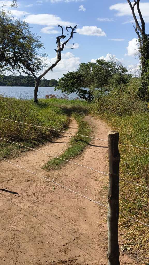 Cerca na região da represa do 29