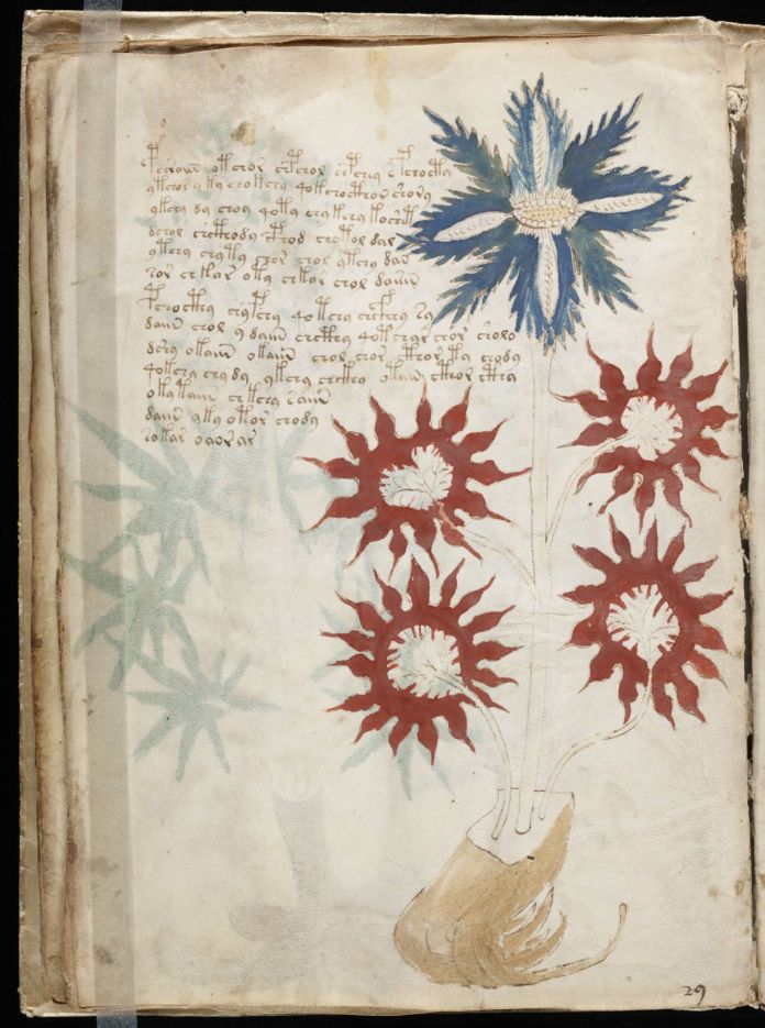 O mistério do Manuscrito de Voynich: o livro que ninguém conseguiu decifrar O mistério do Manuscrito de Voynich: o livro que ninguém conseguiu decifrar