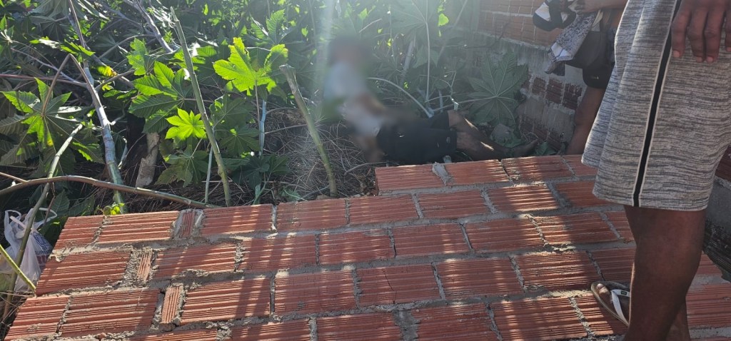 Uma ocorrência envolvendo o desabamento de um muro mobilizou equipes de emergência na manhã desta quarta-feira (6), em Ibaté. O caso foi registrado na Rua Nivaldo Fondato, localizada no bairro José Giro.