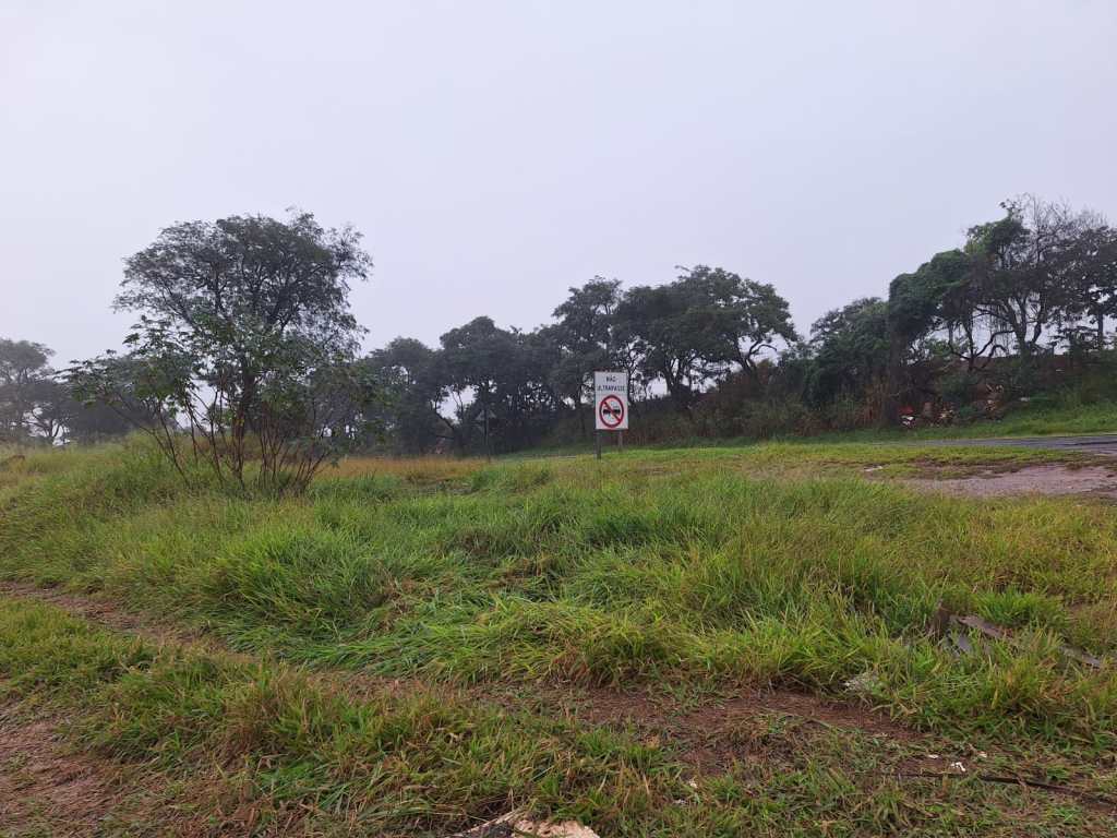 Dois veículos com registro de roubo foram localizados na manhã desta quarta-feira (20) às margens da Rodovia Professor Luiz Augusto de Oliveira (SP-215), na região do km 152, em São Carlos.