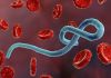 Surto de Ebola já matou mais de 100 pessoas; Médico foi contaminado