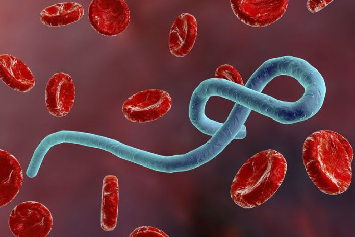ebola-1