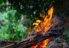 Pesquisa da UFSCar investiga percepção sobre fogo controlado Pesquisa da UFSCar investiga percepção sobre fogo controlado