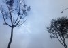 A previsão do tempo para os próximos dias em São Carlos indica mudanças importantes no clima por de uma frente fria, com destaque para a queda de temperatura e a possibilidade de chuva no domingo (10), após uma sequência de dias quentes e secos.
