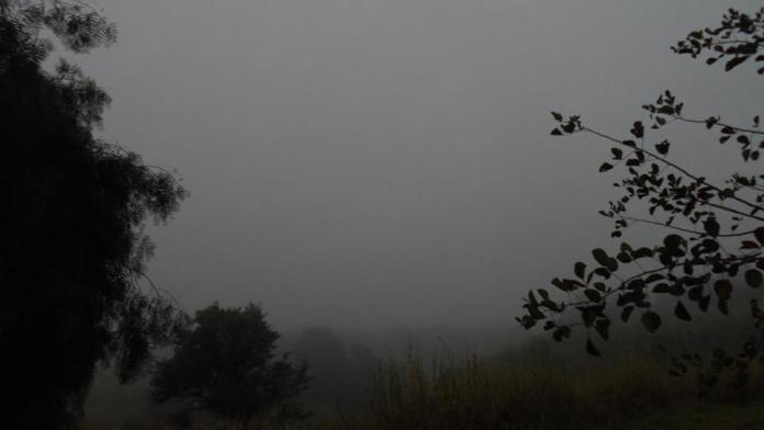 Tempo: domingo com vento gelado; 1ª onda de frio se aproxima de São Carlos; veja como será
