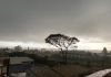 Antes da chuva, frio persiste em São Carlos; virada no tempo se aproxima Frio persiste, depois chega a chuva