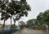 Chuva se aproxima de São Carlos e tempo deve mudar radicalmente Chuva se aproxima de São Carlos e tempo deve mudar radicalmente