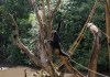 Parque Ecológico divulga programação de férias O Parque Ecológico de São Carlos preparou uma programação especial para as férias de julho em parceria com a Sociedade de Amigos do Parque Ecológico (SAPESC). Entre as atividades estão a tradicional Quarta com Bicho e o Passeio Noturno de Férias, que prometem experiências únicas para toda a família.