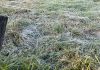 Frio em São Carlos