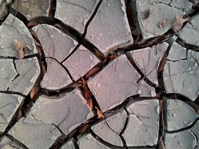 mrwhitepatch-cracked-soil-2457916
