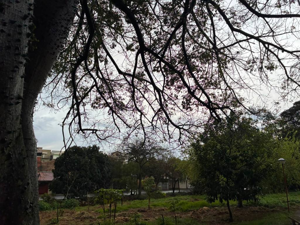 São Carlos registrou um acumulado de 78,4 milímetros de chuva entre a sexta-feira (24) e a manhã deste sábado (25), segundo dados da Defesa Civil