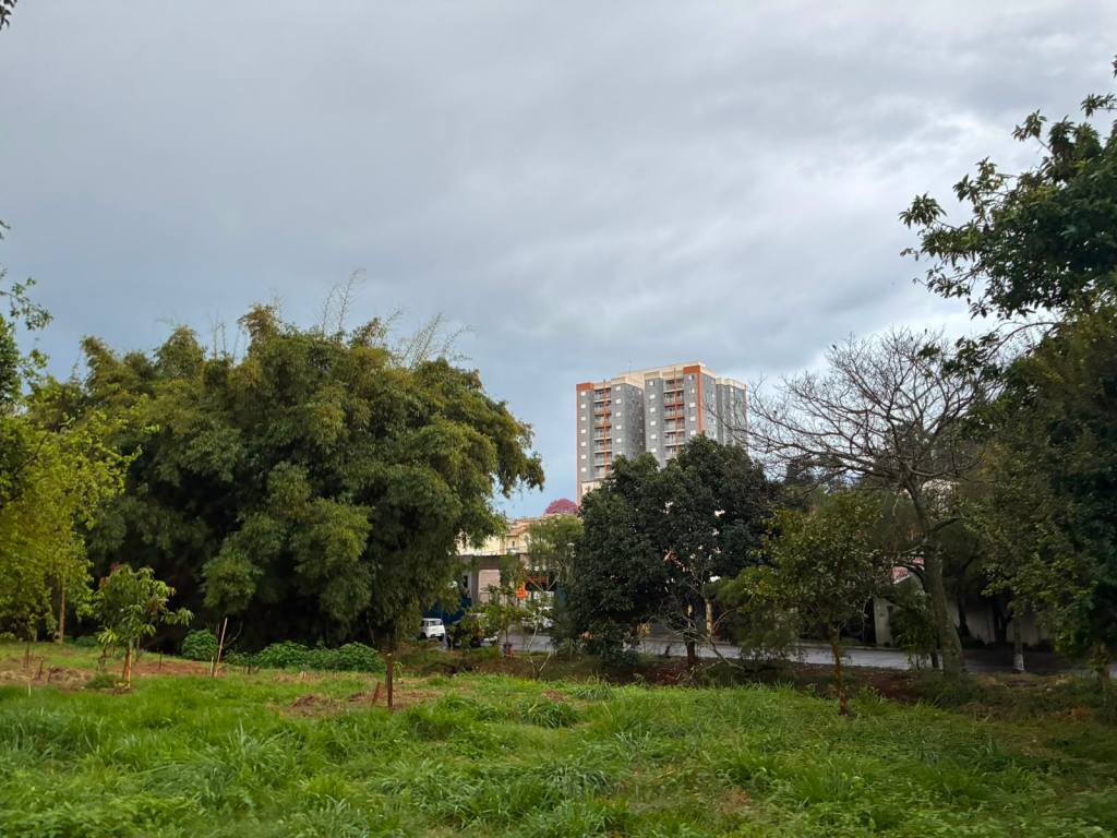 São Carlos registrou um acumulado de 78,4 milímetros de chuva entre a sexta-feira (24) e a manhã deste sábado (25), segundo dados da Defesa Civil