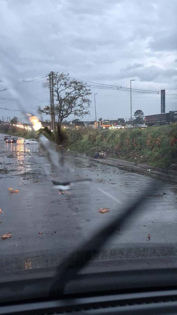 A Prefeitura de Ribeirão Preto informa que o temporal registrado na madrugada desta sexta-feira (24) provocou diversos impactos em diferentes regiões da cidade./Fotos: Redes Sociais