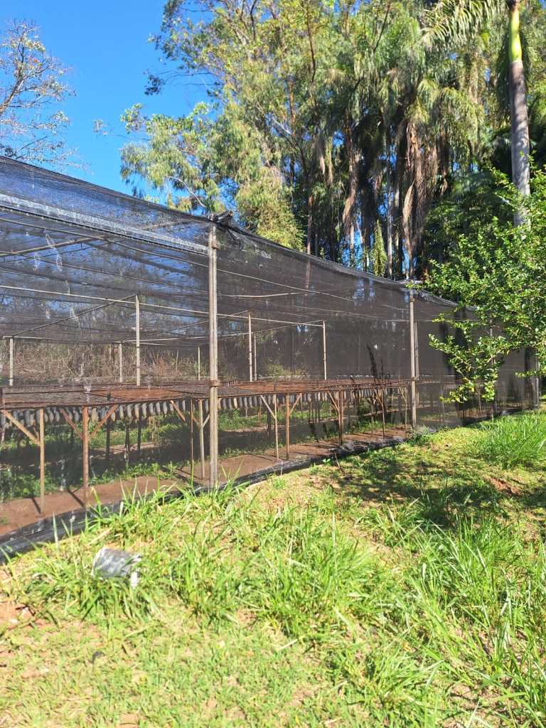 A Prefeitura de São Carlos, por meio da Secretaria Municipal de Meio Ambiente e Bem-Estar Animal, em parceria com a concessionária Ecovias Noroeste Paulista, concluiu a reforma do principal viveiro de mudas do Horto Municipal