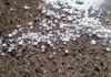 Chuva supera 25 milímetros em São Carlos e Defesa Civil confirma queda de granizo em bairros da cidade Chuva supera 25 milímetros em São Carlos e Defesa Civil confirma queda de granizo em bairros da cidade